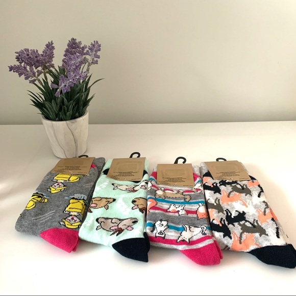 K.Bell Women’s Crew Neck Socks (4pack) - Picture 2 of 3